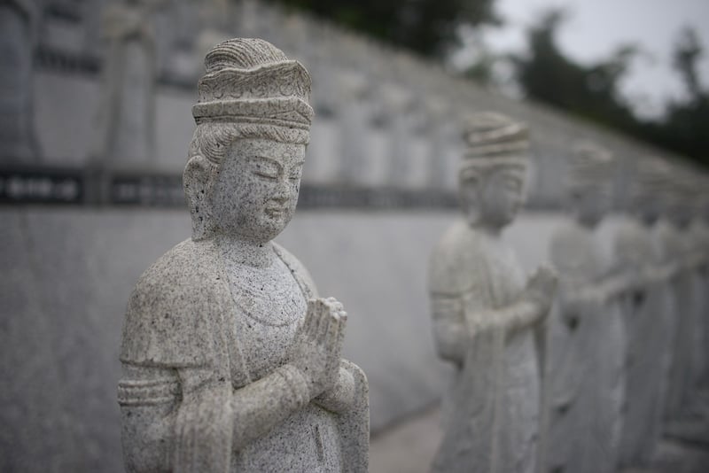 Zen Garden